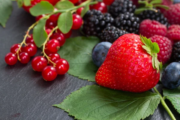 Куча свежих ягод — стоковое фото