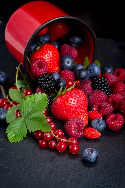 Set of  fresh berries — Stock Photo, Image