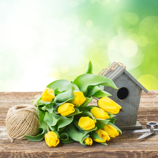 Yellow tulips  with birdcage — Stock Photo, Image