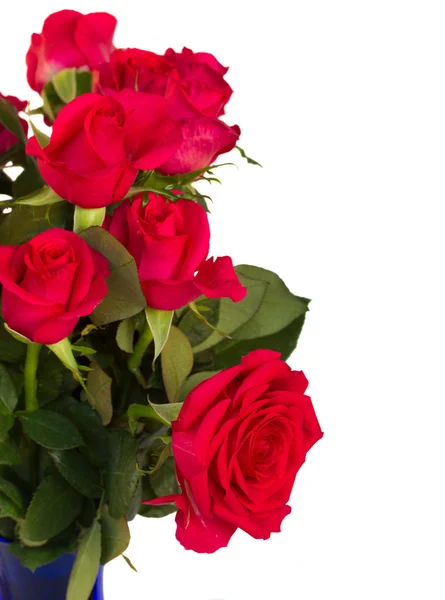 Strauß dunkelrosa Rosen aus nächster Nähe — Stockfoto