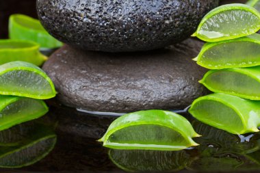 aloe vera spa