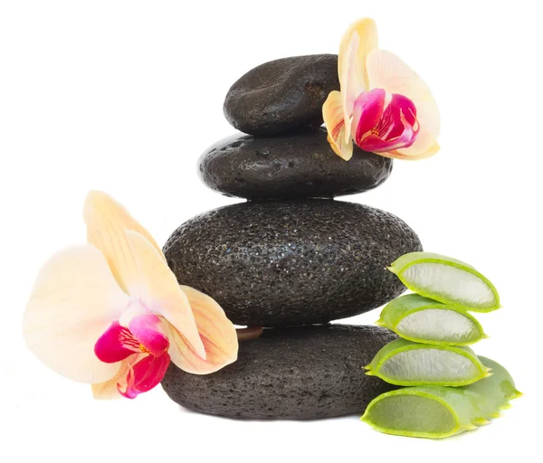 Massage stones with aloe vera — Stock Photo, Image