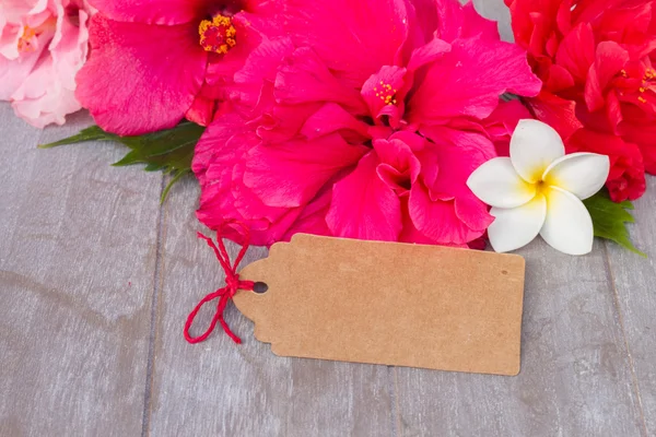 Бордюр з барвистих квітів гібіскуса — стокове фото