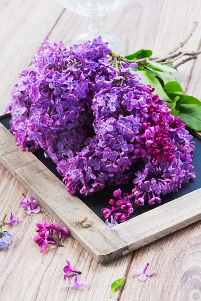 Fiori lilla sul tavolo — Foto Stock