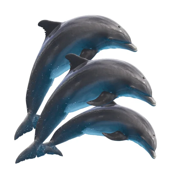 Jumping dolphins on white — Stock Photo, Image