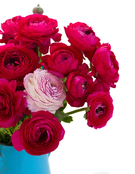 Bouquet de fleurs de ranunculus rose — Photo