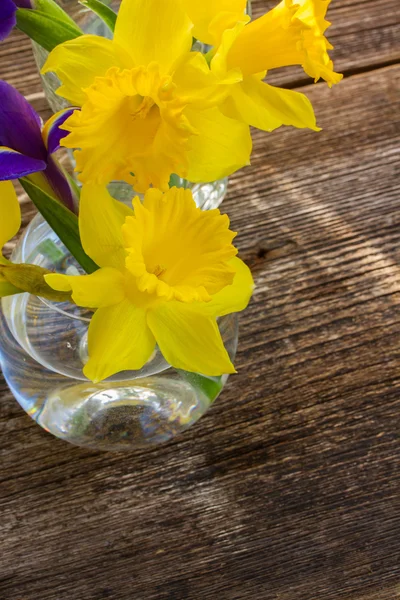 Easter daffodil — Stock Photo, Image
