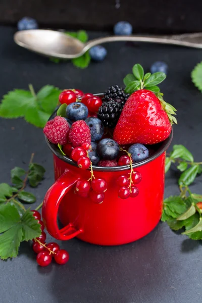 Set of  fresh berries — Stock Photo, Image