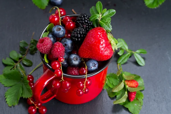 Set of  fresh berries — Stock Photo, Image