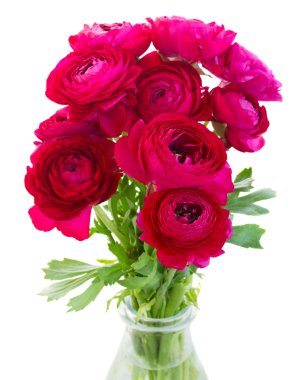 pembe Düğünçiçeği çiçek demet