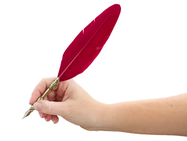 Χέρι που κρατά την πένα φτερό — Φωτογραφία Αρχείου