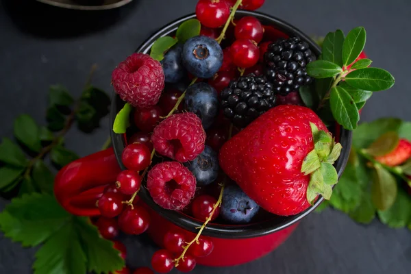 Set of  fresh berries — Stock Photo, Image