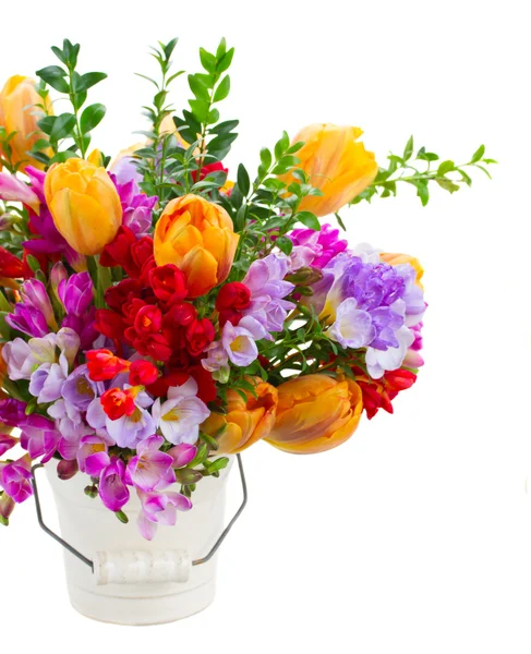 Frezja i tulipan kwiaty — Zdjęcie stockowe