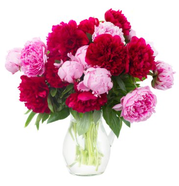 pembe ve kırmızı peonies