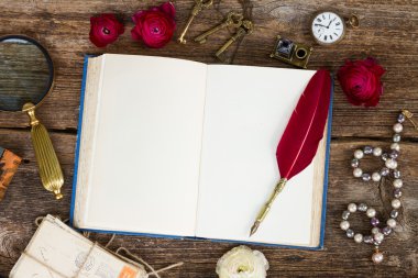 tüy kalem ve açık boş kitap