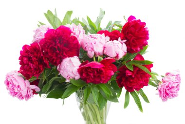 pembe ve kırmızı peonies