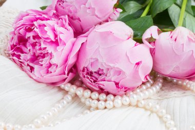 bir Şakayık dantel üzerinde pembe