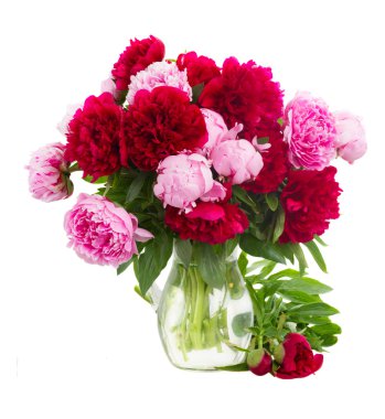pembe ve kırmızı peonies