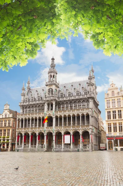 Maison du roi, Brussel — Stockfoto