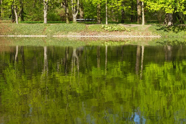 Wiersz o zielonych drzew — Zdjęcie stockowe