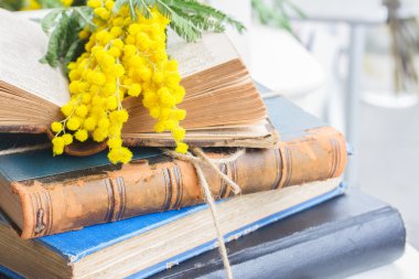 Bir yığın eski kitap.