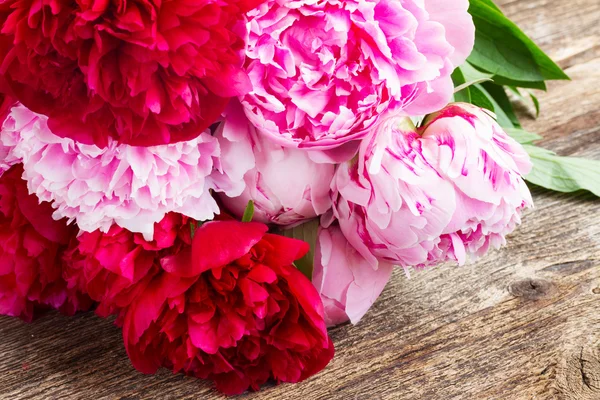 Peonías rosadas y rojas — Foto de Stock