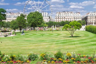 Tuileries garden, Paris clipart