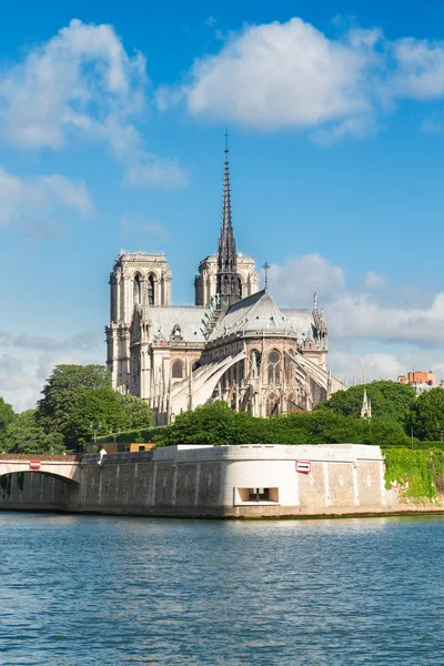 Katedra Notre Dame, Paryż, Francja — Zdjęcie stockowe