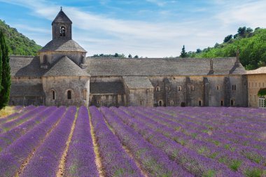 Abbey Senanque ve Lavanta tarlası, Fransa