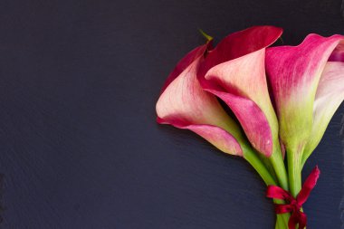 calla lilly