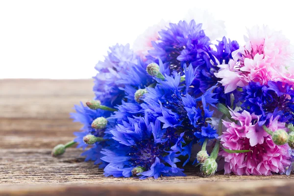 Blue cornflowers — Stock Photo, Image