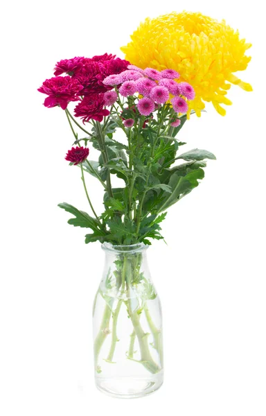 Flores amarelas, vermelhas e rosa da mãe — Fotografia de Stock