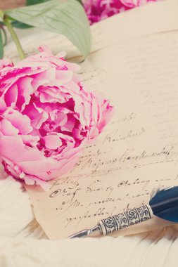 caneta de pena e cartas antigas