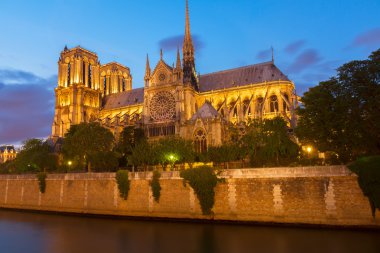 Notre Dame Katedrali, Paris Fransa
