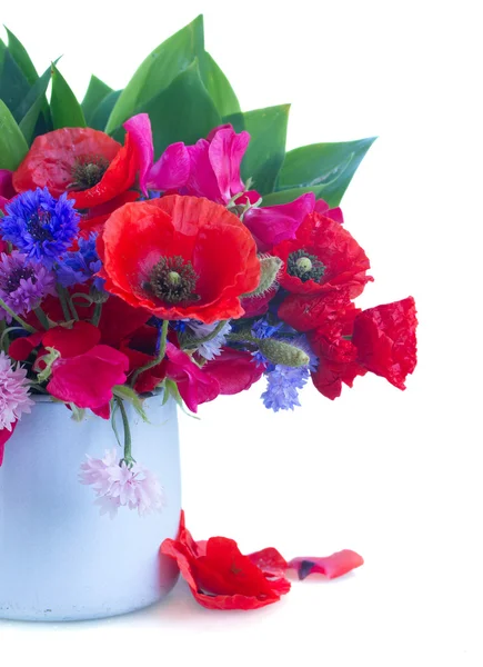 Amapola, guisantes dulces y flores de maíz — Foto de Stock