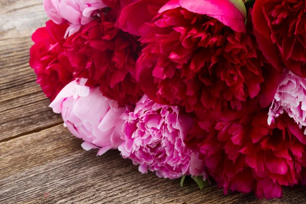 Peonías rosadas y rojas —  Fotos de Stock