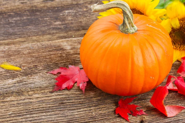 Pumpkin on table — Stock Photo, Image