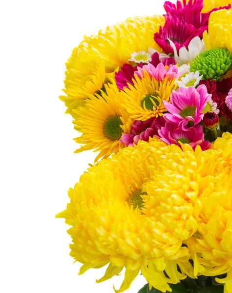 Žluté, červené a růžové máma květiny — Stock fotografie