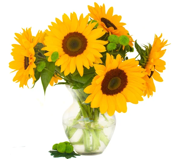 One bight sunflower — Stock Photo, Image