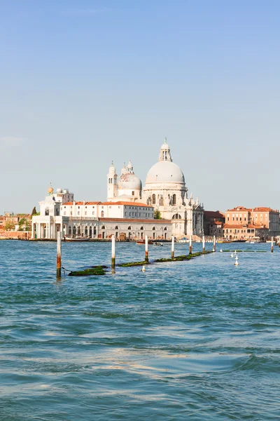 Basilica Santa Maria della Salute, Venedik, İtalya — Stok fotoğraf