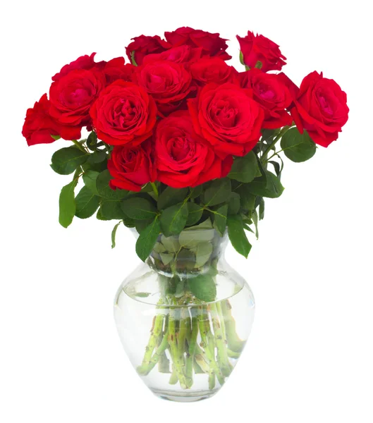 Bouquet of fresh roses — Stock Photo, Image