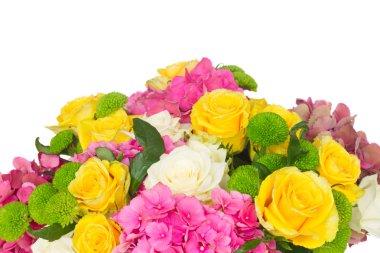 pembe HORTENSIA çiçek