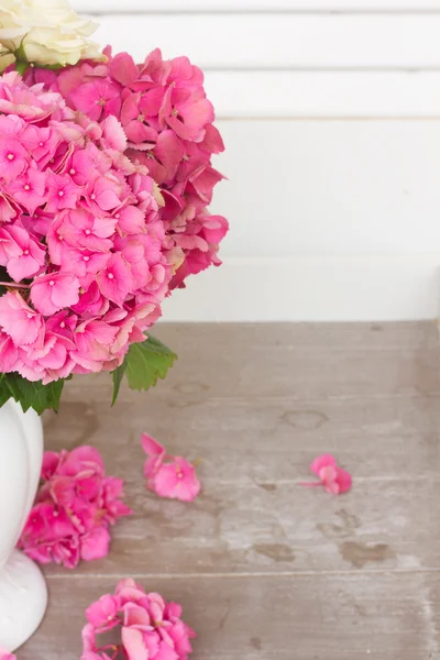 Розовые гортензии — стоковое фото