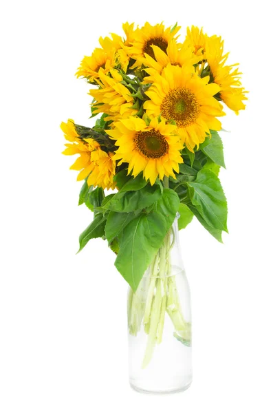 Bouquet of bright sunflowers — Stock Photo, Image