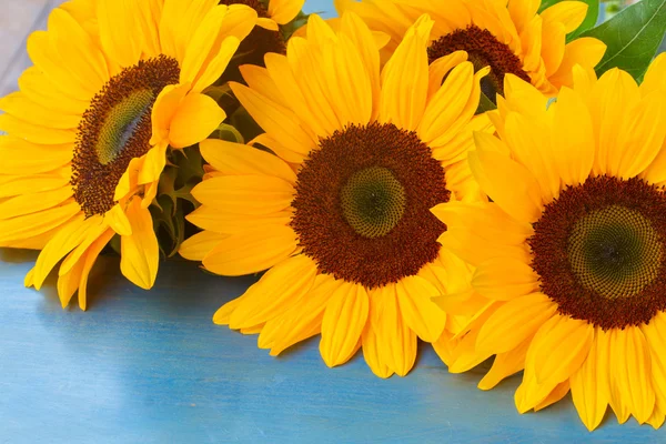 Große Sonnenblumen — Stockfoto