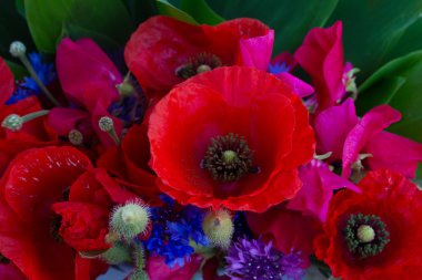 Poppy, tatlı bezelye ve Mısır çiçekler