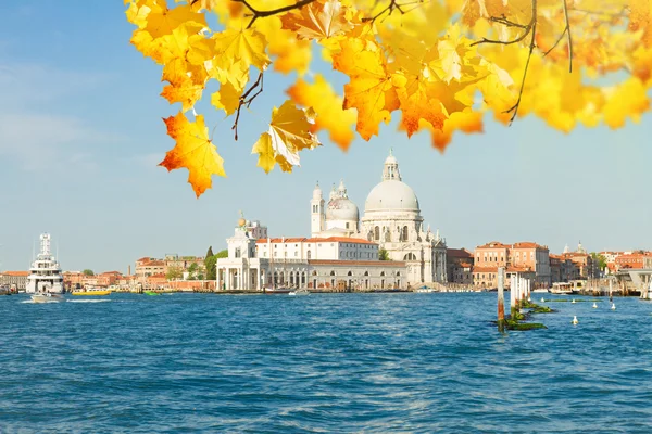 Basilika Santa Maria della Salute, Venedig, Italien — Stockfoto