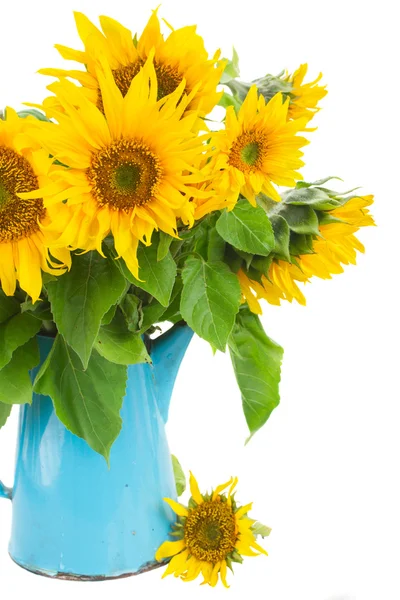 Strauß heller Sonnenblumen — Stockfoto