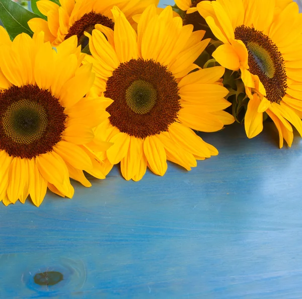 Große Sonnenblumen — Stockfoto