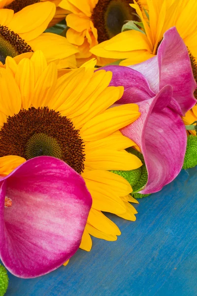 One bight sunflower — Stock Photo, Image